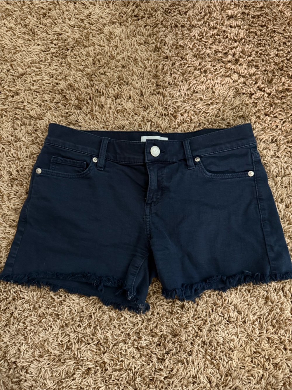 LOFT Navy Blue Women's shorts